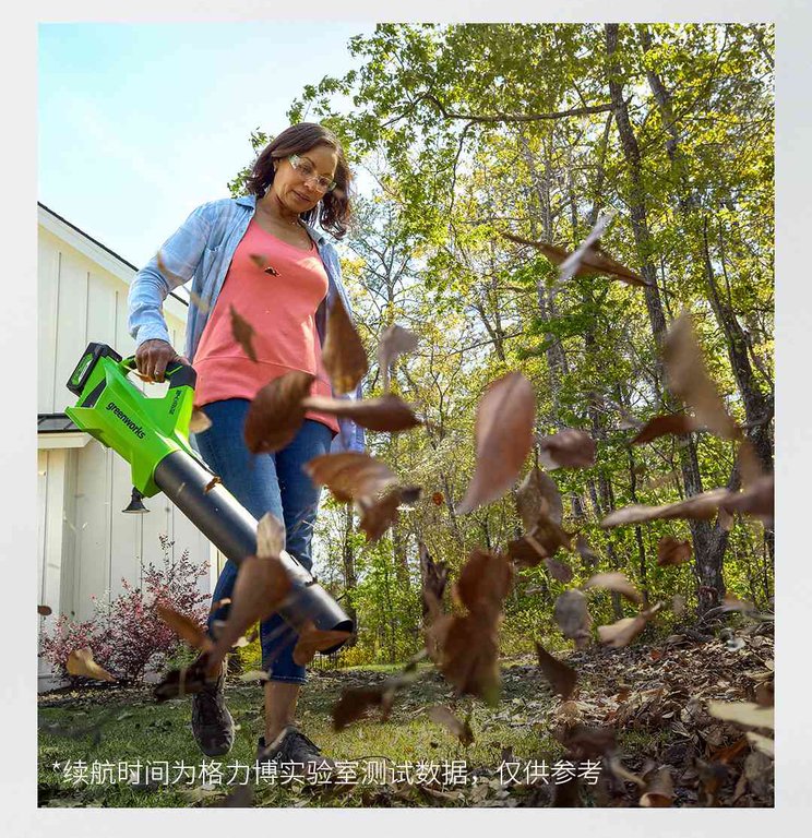 GREENWORKS 24V BRUSHLESS CORDLESS LEAF BLOWER 2AH SINGLE BATTERY CHARGER - منفاخ اوراق لاسلكي بدون فرشاة 24 فولت من جرين ووركس