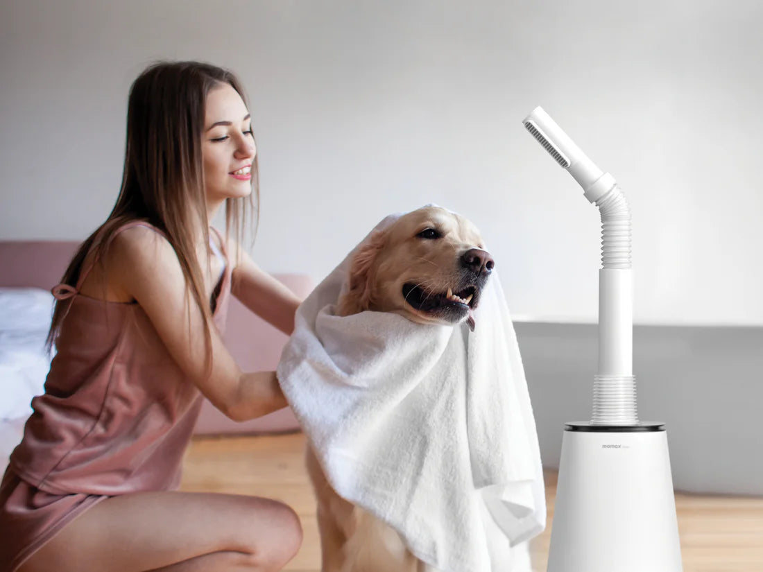 Momax Air Pure Duolot Uv Hot & Cool Purifying Fan - مروحة تبريد ومدفأة ذكية من موماكس