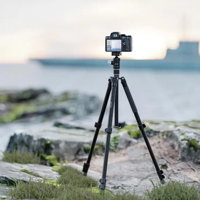 Porodo Aluminium Tripod with Ballhead Black - ستاند تصوير ثلاثي القوائم من الألومنيوم برأس كروي من بورودو