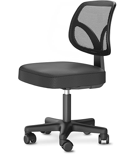 LITTLE WHALE COMPUTER CHAIR LEISURE HOME EXQUISITE SMALL OFFICE CHAIR ERGONOMIC CHAIR BLACK NO CUSHION - كرسي كمبيوتر صغير بتصميم مريح وعصري بدون مساند