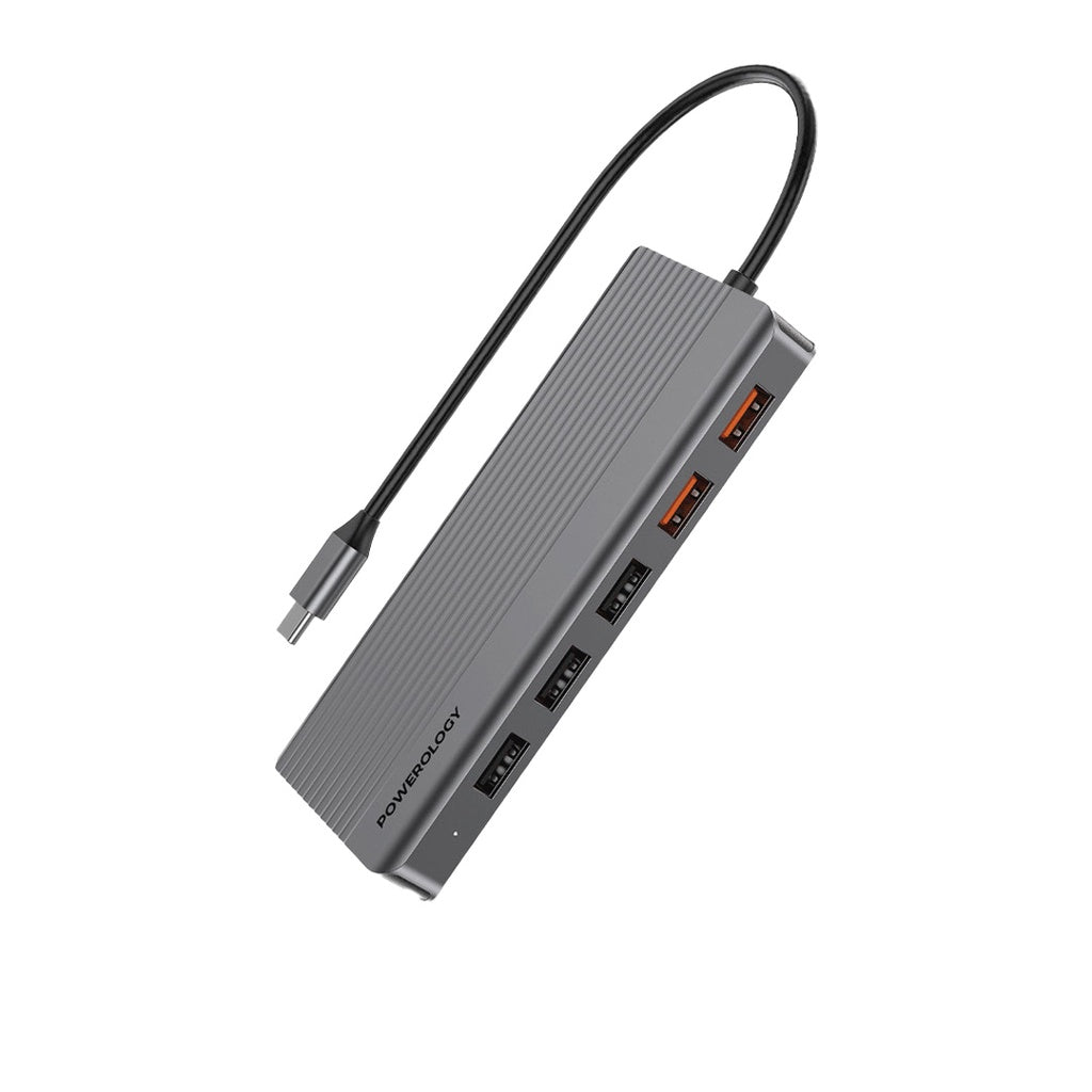 Powerology 12in1 USB-C Hub HDMI Type-C 100W PD Ethernet VGA USB SD MicroSD 3.5AUX - توصالة تايب سي 12 في 1 من باورولوجي