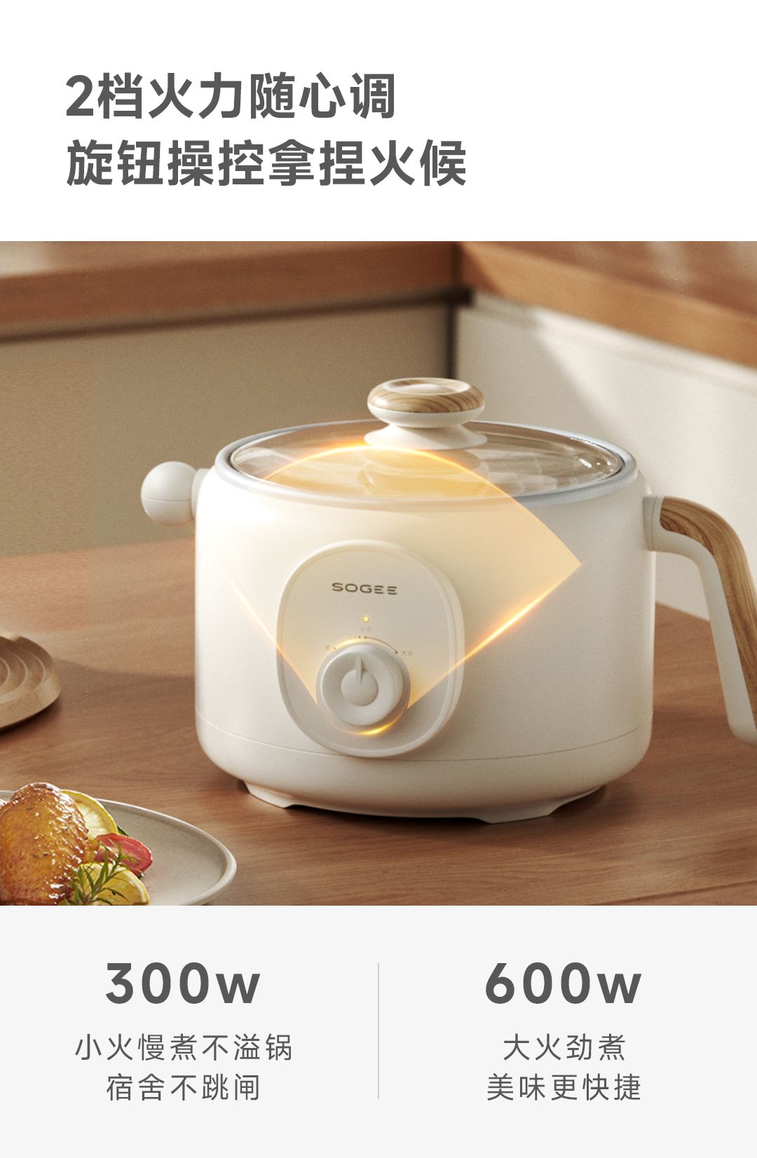SMALL MULTI-FUNCTION ELECTRIC COOKER 2L REGULAR - قدر الطهي الكهربائي المتعدد الوظائف سعة 2 لتر 600 واط
