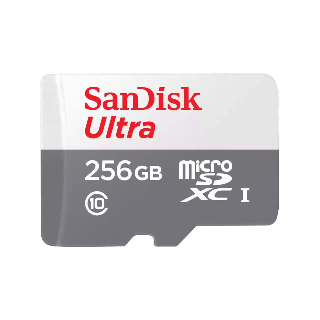 SANDISK RAM 256 gb   - رام 256 جيجابايت من سان دسك