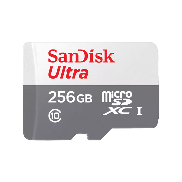 SANDISK RAM 256 gb   - رام 256 جيجابايت من سان دسك