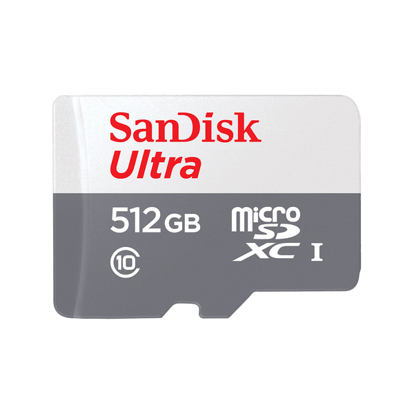 SANDISK RAM 256 gb   - رام من سان دسك